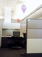 balloon in my cube